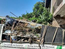 Best Garage Cleanout  in Hawthorne, NV