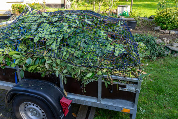 Best Moving and Downsizing Cleanouts  in Hawthorne, NV